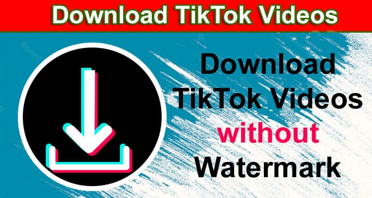 A Guide to Download TikTok Videos without Watermark