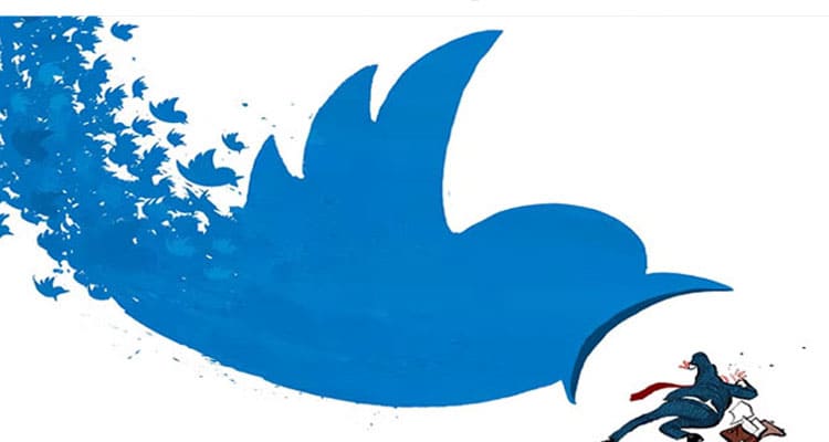 Latest News Bad Timing Leaks Twitter: What Post Is Available On Various Social Media Platforms? Checkout Here!